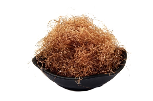 Corn silk Extract